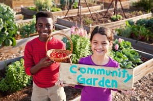 Community Garden